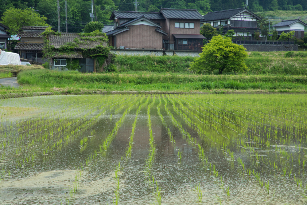 石川五右衛門の出身地？与謝野町のアイキャッチ画像